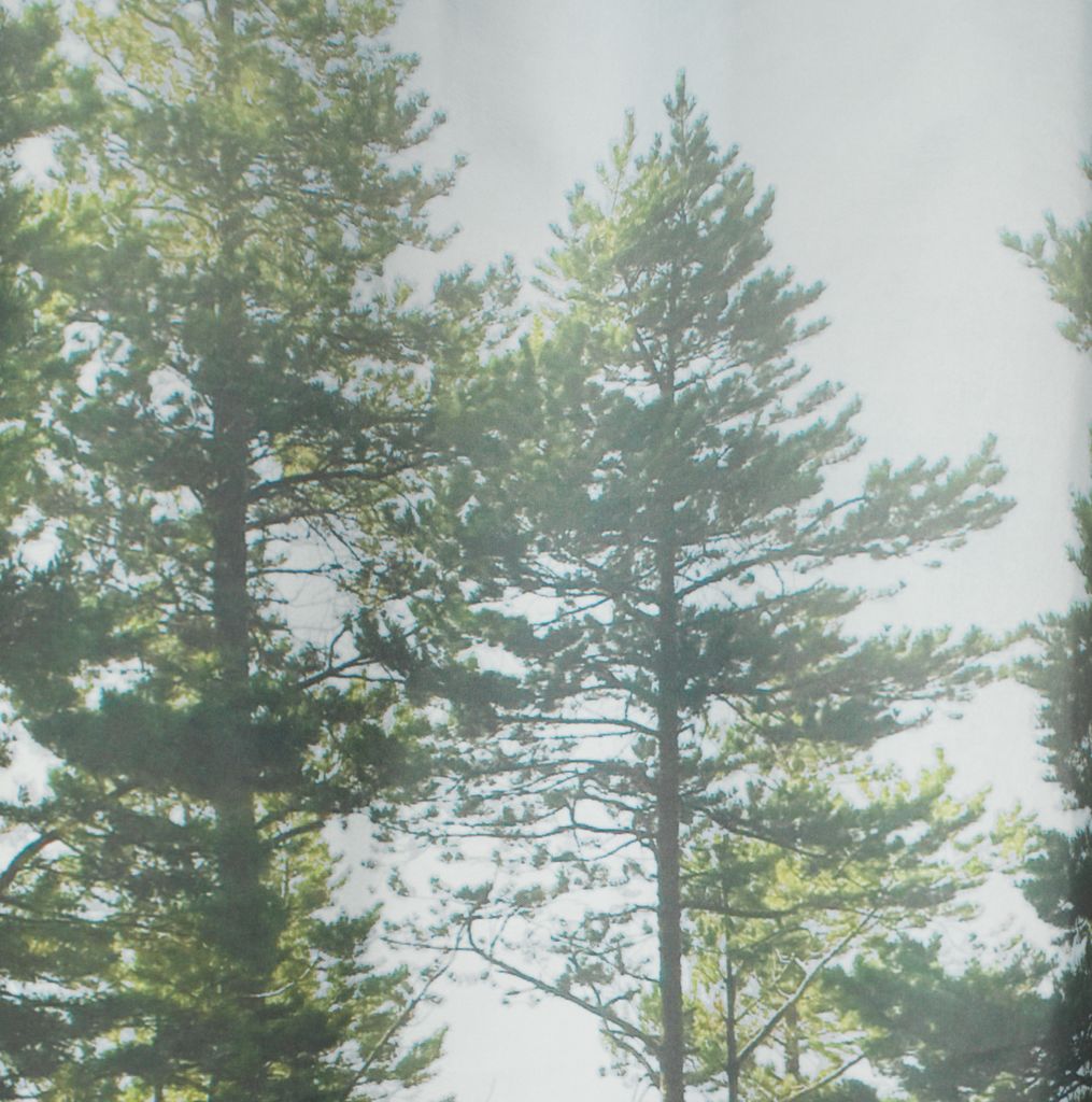 Shower curtain AVESTA 150x200 photoprint - JYSK