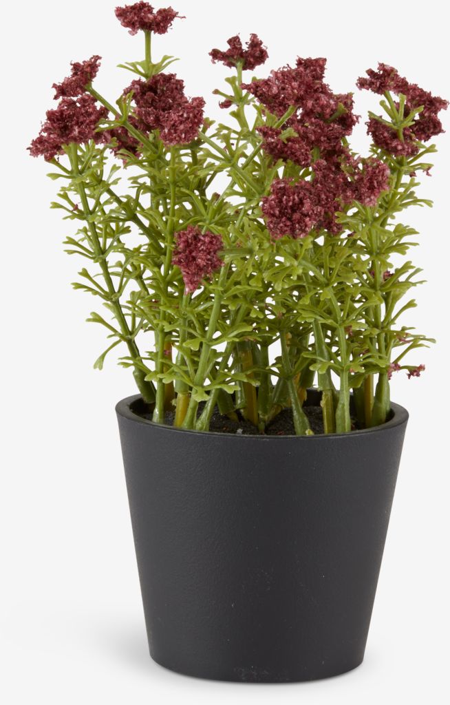 Artificial plant KALLE D13xH16 burgundy - JYSK