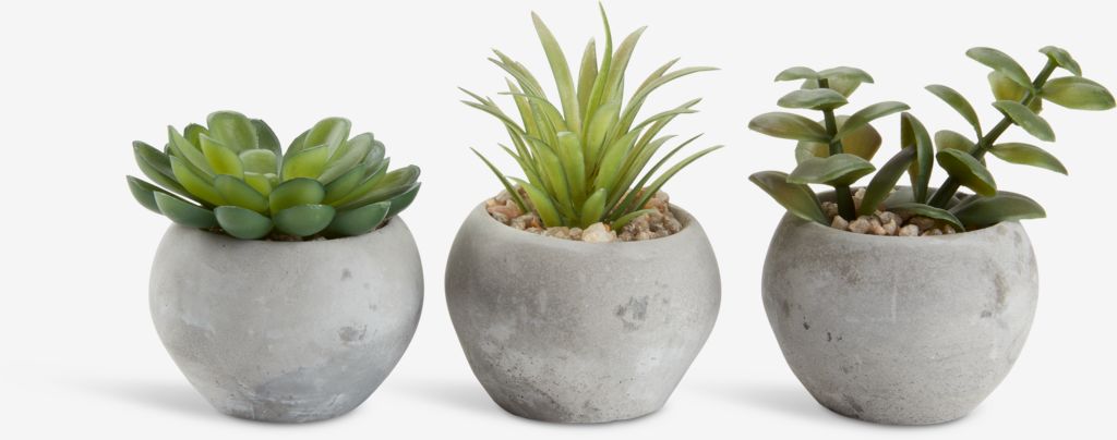 Artificial plant BROR D7xH9cm assorted - JYSK