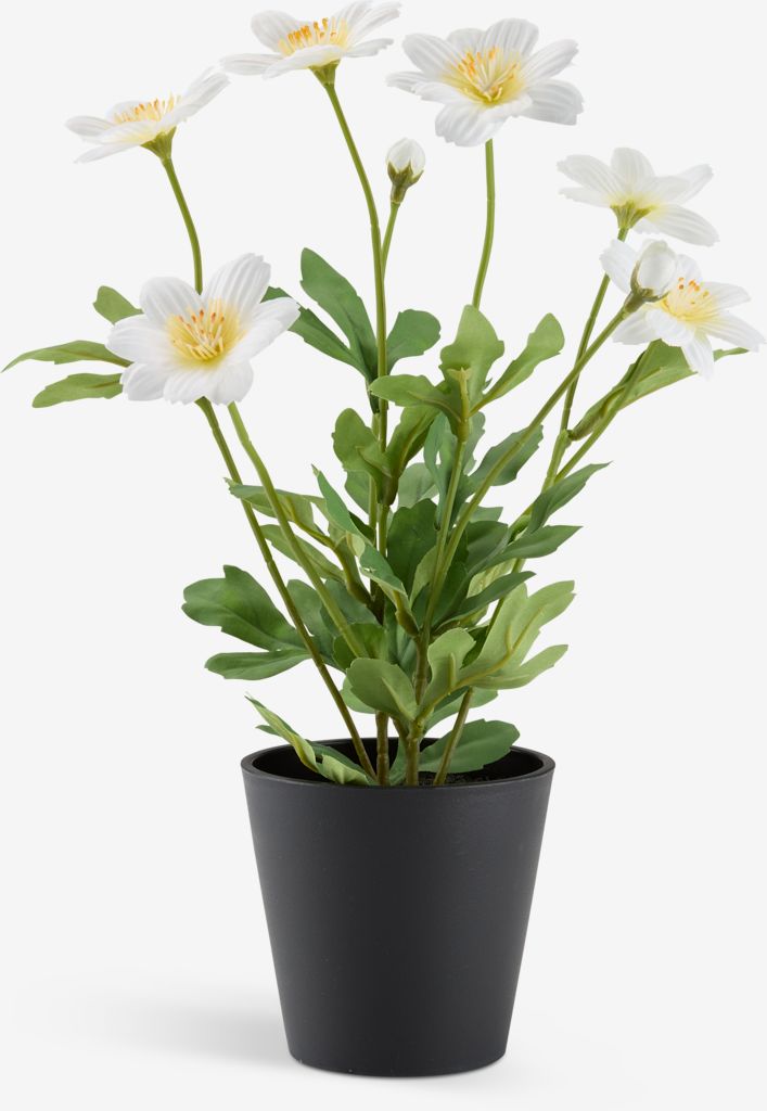 Artificial plant EINERT D18xH32cm with pot - JYSK